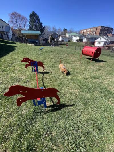 Oak Hill Dog Park - Oak Hill, WV