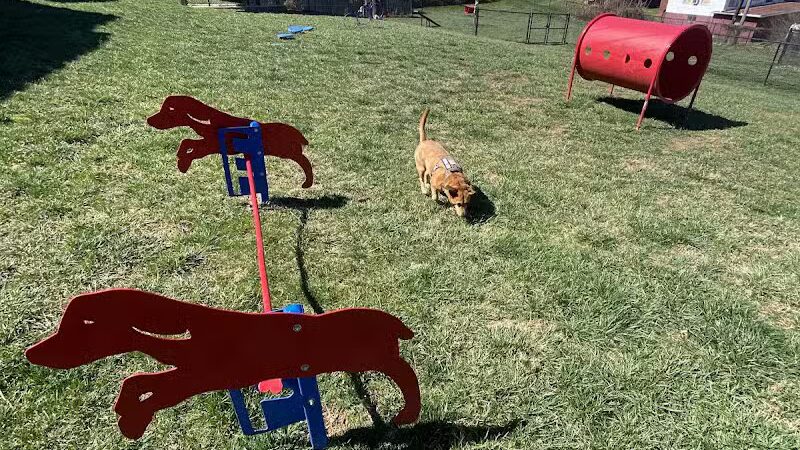 Oak Hill Dog Park - Oak Hill, WV