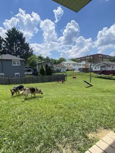 Oak Hill Dog Park - Oak Hill, WV