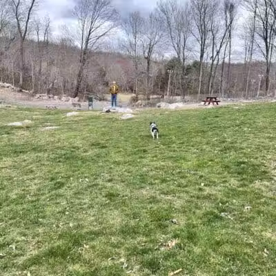 Montville Dog Park - Oakdale, CT