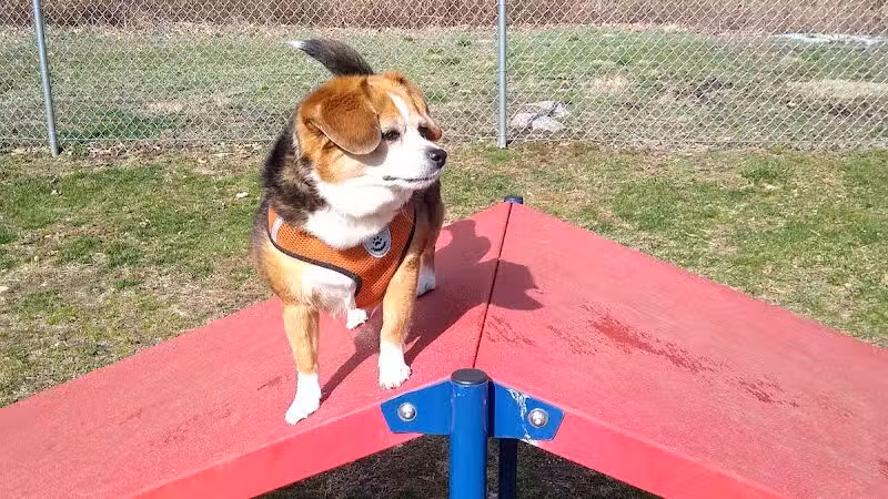 Montville Dog Park - Oakdale, CT