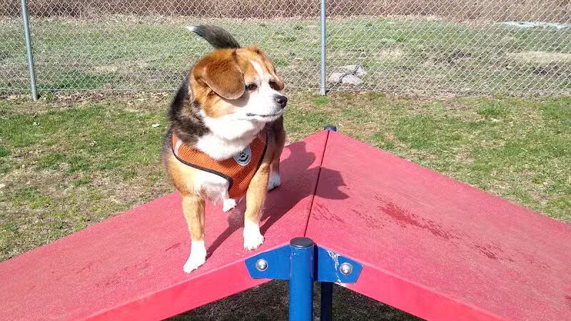 Montville Dog Park - Oakdale, CT