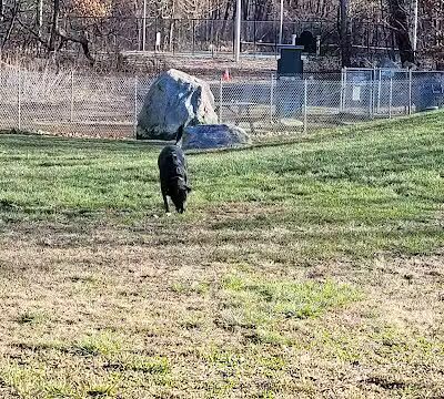 Montville Dog Park - Oakdale, CT