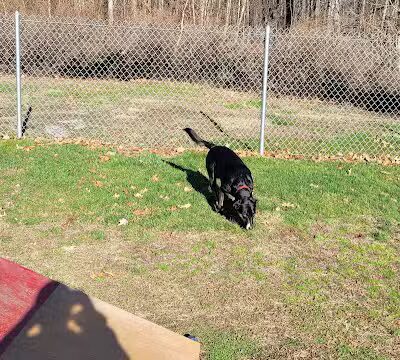 Montville Dog Park - Oakdale, CT