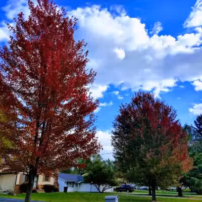 Oakwood Community Park - Oakwood, OH
