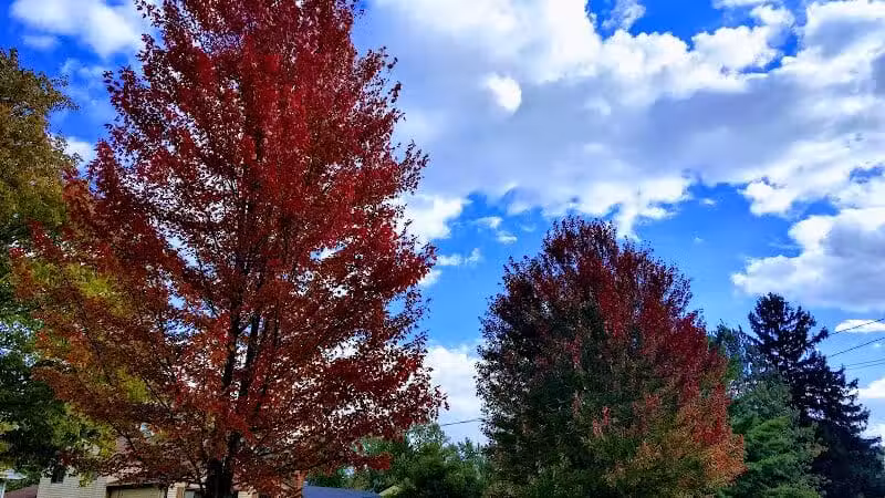 Oakwood Community Park - Oakwood, OH