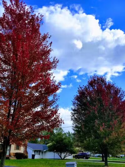 Oakwood Community Park - Oakwood, OH