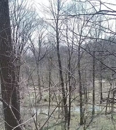 Kipton Community park - Oberlin, OH