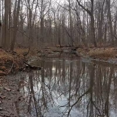 Kipton Reservation - Oberlin, OH