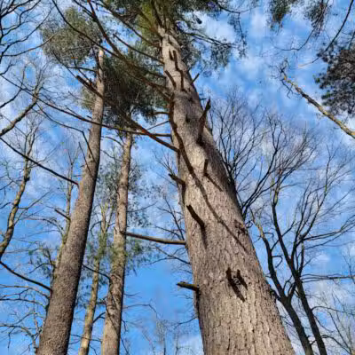 Kipton Reservation - Oberlin, OH