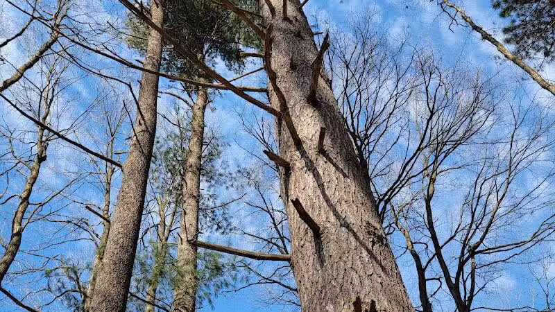 Kipton Reservation - Oberlin, OH