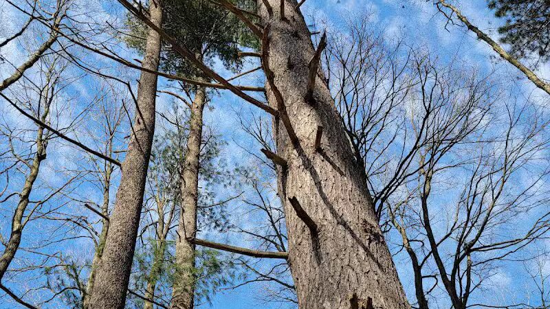 Kipton Reservation - Oberlin, OH