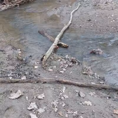 Kipton Reservation - Oberlin, OH