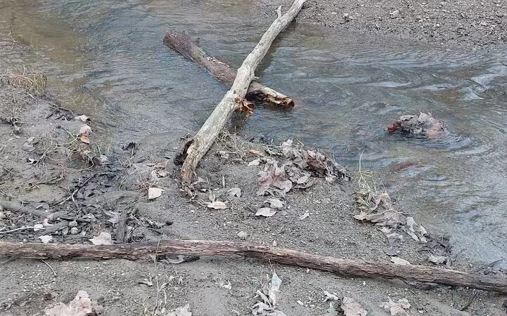 Kipton Reservation - Oberlin, OH