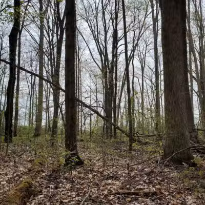 Kipton Reservation - Oberlin, OH