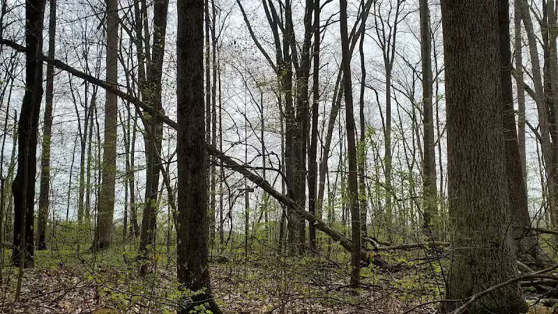 Kipton Reservation - Oberlin, OH