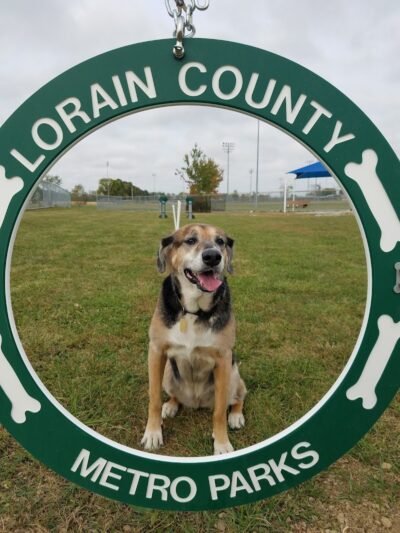 Oberlin Dog Park - Oberlin, OH