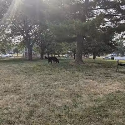 Bridlewood Dog Park - Obetz, OH