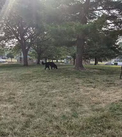 Bridlewood Dog Park - Obetz, OH