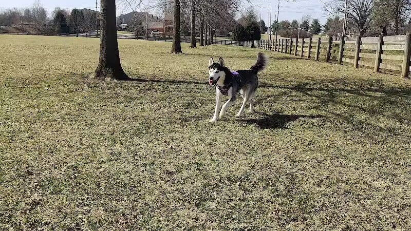 Bridlewood Dog Park - Obetz, OH