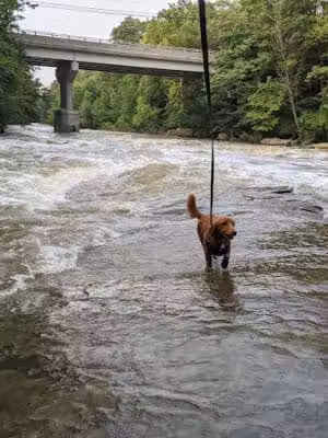 David Fortier River Park - Olmsted Falls, OH