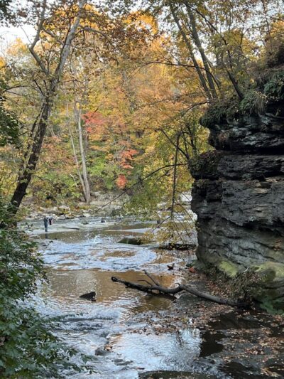 David Fortier River Park - Olmsted Falls, OH
