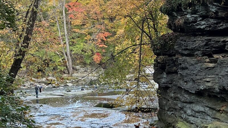 David Fortier River Park - Olmsted Falls, OH