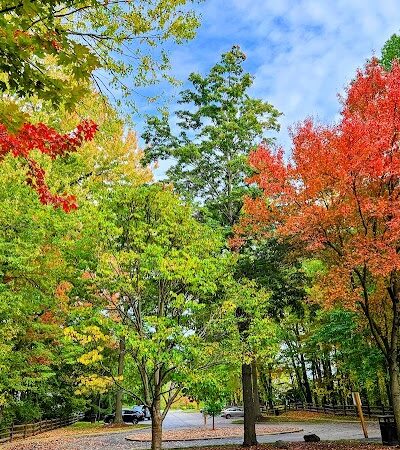 Olmsted Falls East River Park - Olmsted Falls, OH