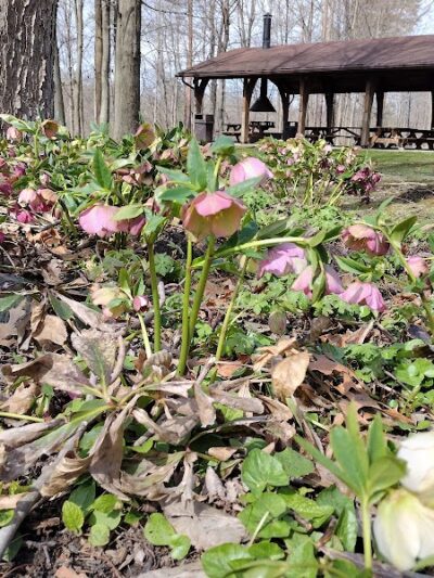 Olmsted Falls East River Park - Olmsted Falls, OH