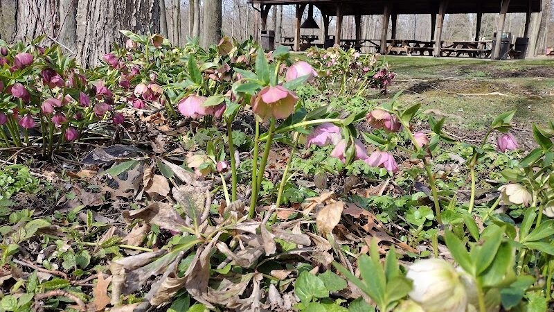Olmsted Falls East River Park - Olmsted Falls, OH