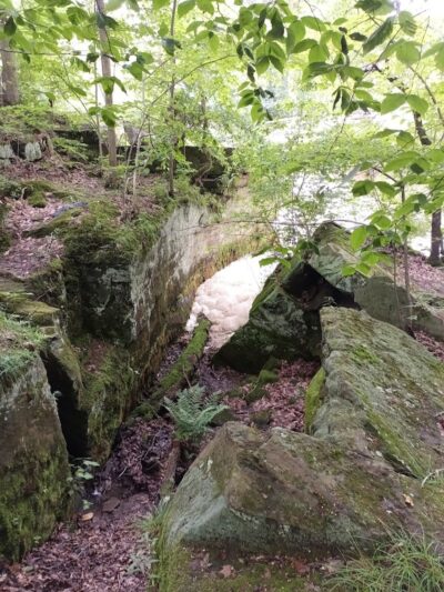 The Dan Waugh nature trail - Olmsted Falls, OH