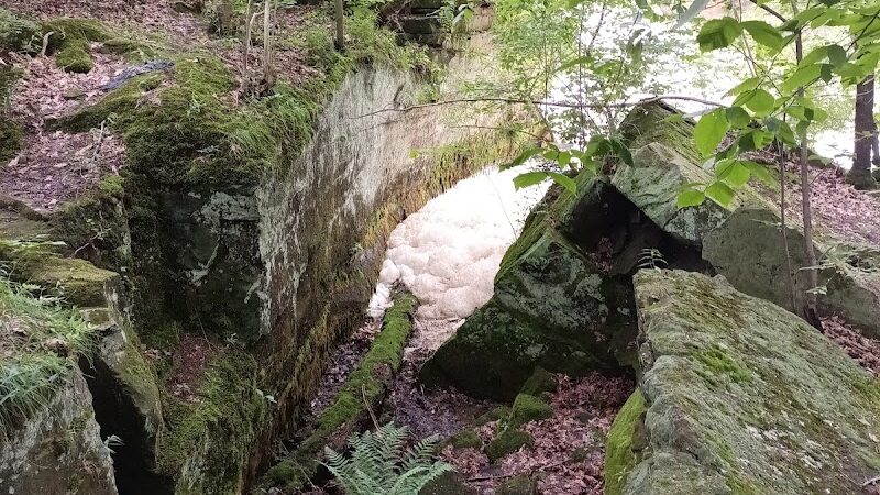 The Dan Waugh nature trail - Olmsted Falls, OH