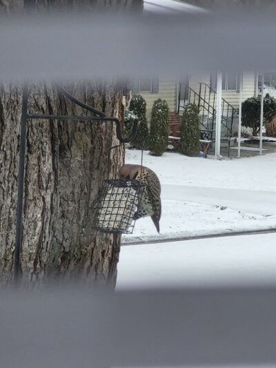 Columbia Park - Olmsted Township, OH