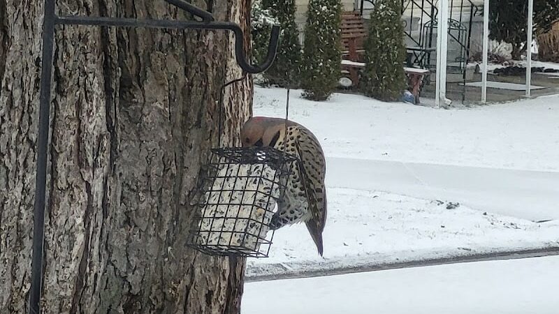 Columbia Park - Olmsted Township, OH