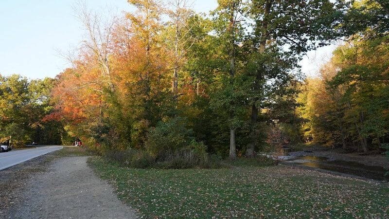 Lagoon Picnic Area - Olmsted Township, OH