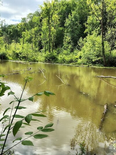 Lagoon Picnic Area - Olmsted Township, OH