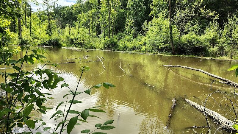 Lagoon Picnic Area - Olmsted Township, OH
