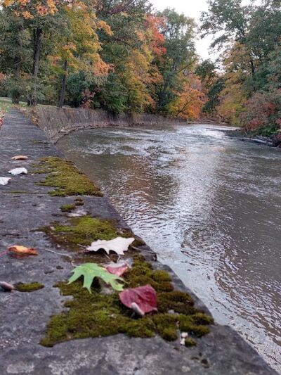 Lagoon Picnic Area - Olmsted Township, OH