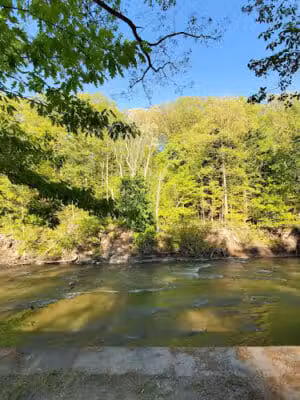 Lagoon Picnic Area - Olmsted Township, OH