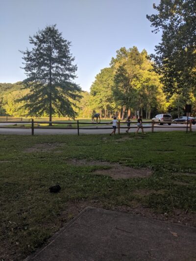 Lagoon Picnic Area - Olmsted Township, OH