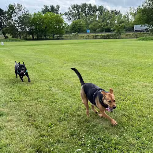 Jake & Cooper's Bark Park (Membership Required) - Oregon, OH