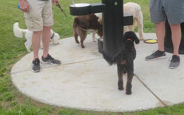 Jake & Cooper's Bark Park (Membership Required) - Oregon, OH