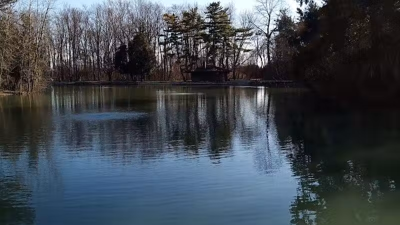 Pearson Metropark Johlin Cabin Wildlife Viewing Area - Oregon, OH