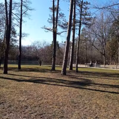 Pearson Metropark Johlin Cabin Wildlife Viewing Area - Oregon, OH