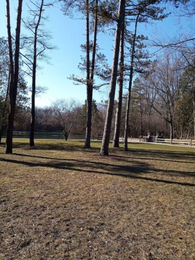 Pearson Metropark Johlin Cabin Wildlife Viewing Area - Oregon, OH