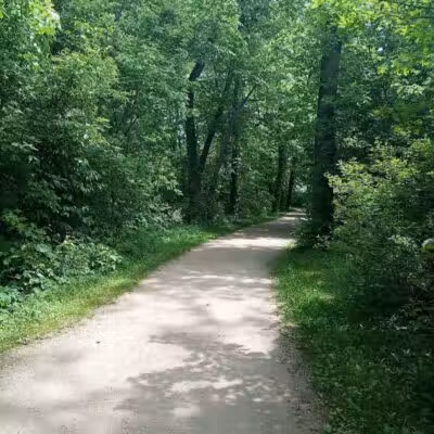Pearson Metropark Johlin Cabin Wildlife Viewing Area - Oregon, OH