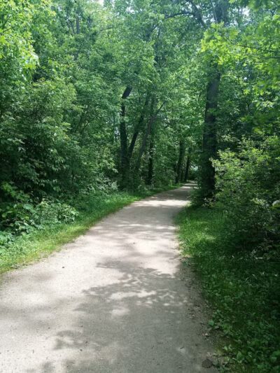 Pearson Metropark Johlin Cabin Wildlife Viewing Area - Oregon, OH