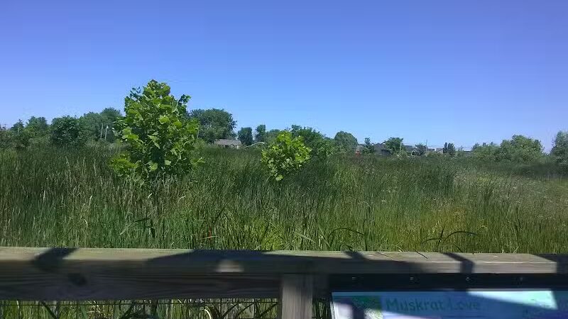 Pearson Metropark Johlin Cabin Wildlife Viewing Area - Oregon, OH