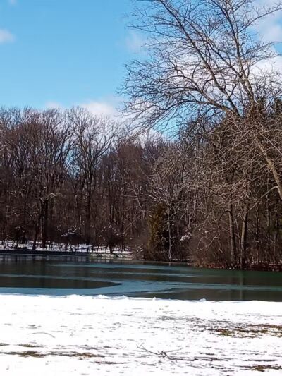 Pearson Metropark Johlin Cabin Wildlife Viewing Area - Oregon, OH