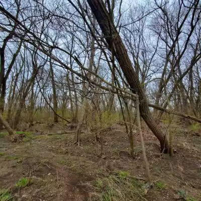 Pleasant Valley Area - Battelle Darby Creek Park - Orient, OH